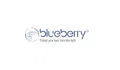 Blueberry Glasses Coupons