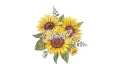 CloverCo. Coupons