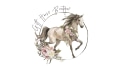 Gift Horse Boutique Coupons