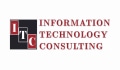 Information Technology Consulting Coupons