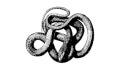 Serpenti Apparel Coupons