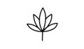 Shanti Organics Coupons