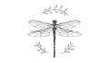 The Dragonfly Boutique Coupons