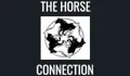 The Horse Connection in Bedford Coupons
