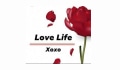 The Love Life Store Coupons