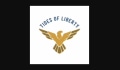 Tides of Liberty Coupons