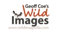Wild Images Florida Coupons