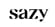 Sazy Coupons